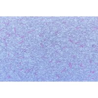 Рідкі шпалери Dream Room С8 фіолетові