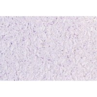 Рідкі шпалери PolDecor 14-9 бузкові