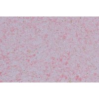 Рідкі шпалери PolDecor 17-1 рожеві