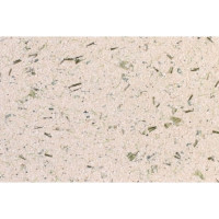 Рідкі шпалери PolDecor 18-2 бежеві