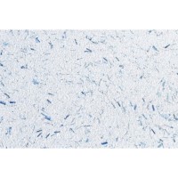 Рідкі шпалери PolDecor 18-3 сині