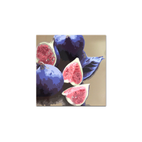 Металокерамічний дизайн-обігрівач UDEN-500К Інжир