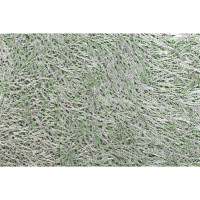 Рідкі шпалери Біопласт 2016 зелені