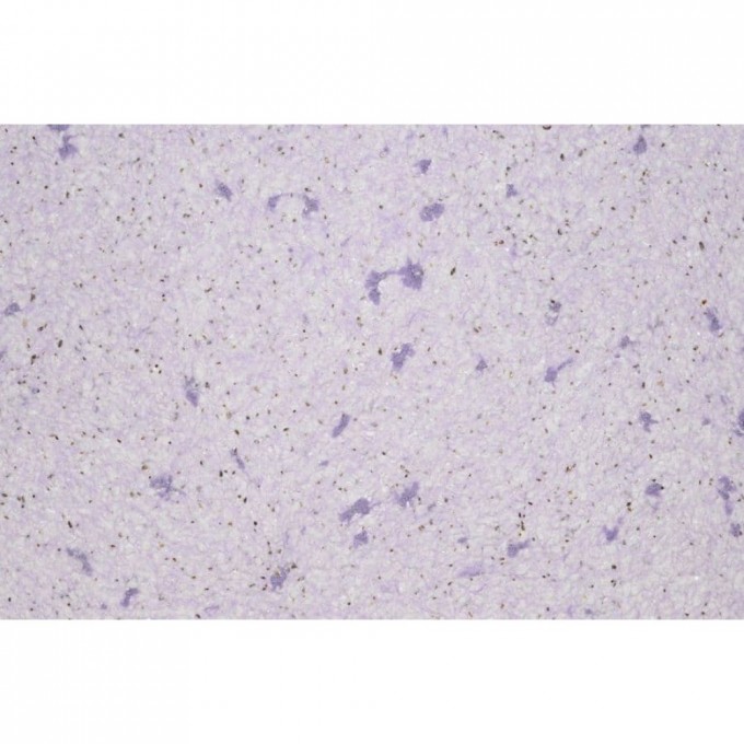 Рідкі шпалери Лайт Плюс 718-042 фіолетові