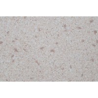 Рідкі шпалери Лайт Плюс 832-617 бежеві