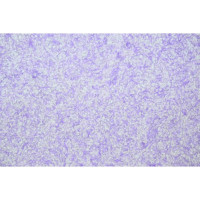 Рідкі шпалери Лайт 07-2 бузкові