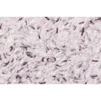 Рідкі шпалери Стиль тип 70 фіолетові