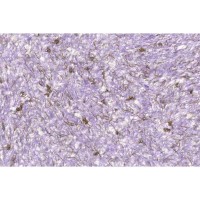 Рідкі шпалери Стиль тип 86 бузкові