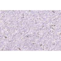 Рідкі шпалери Стиль тип 129 бузкові