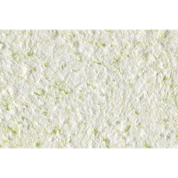 Рідкі шпалери Стиль тип 132 зелені