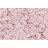 Рідкі шпалери Стиль тип 257 червоні