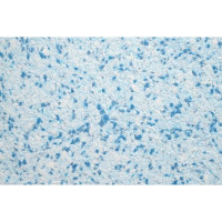 Рідкі шпалери Юкка 1213 сині