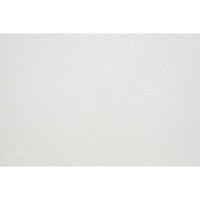 Рідкі шпалери Орхідея 817 білі